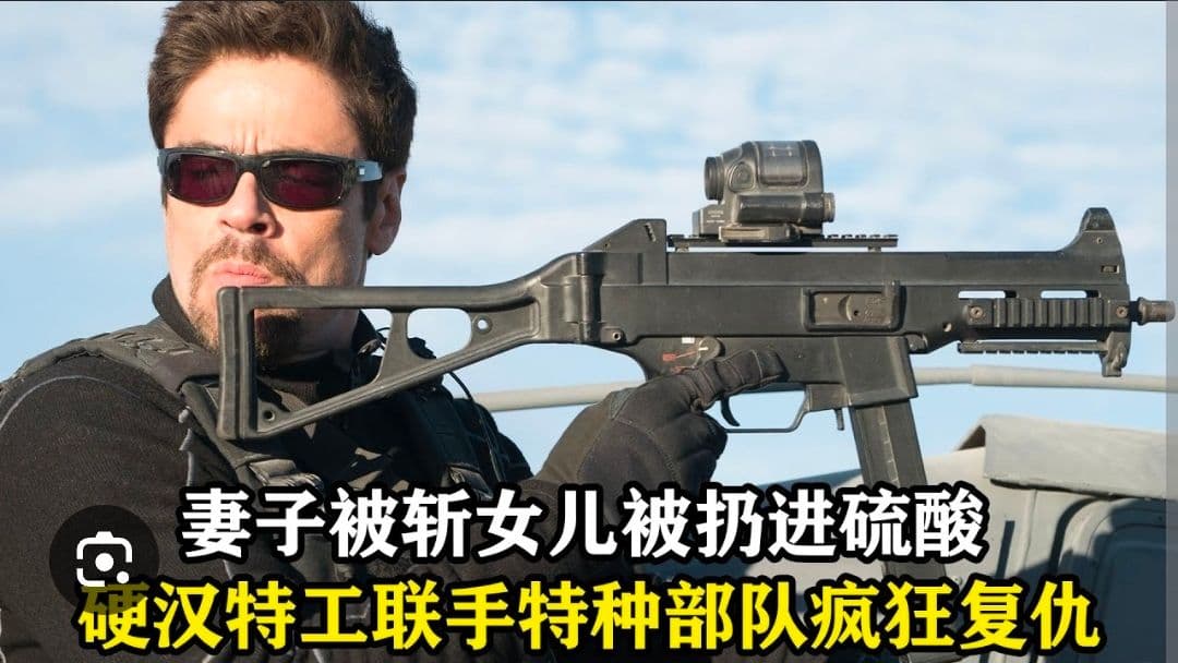 正品 Trijicon SRS 內紅點快瞄 - 圖片 3